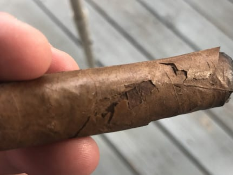 Vỏ xì gà bị khô có sao không?